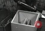 Image of saw dust Dahlgren Virginia USA, 1951, second 40 stock footage video 65675077420