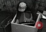 Image of saw dust Dahlgren Virginia USA, 1951, second 43 stock footage video 65675077420
