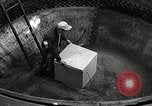 Image of saw dust Dahlgren Virginia USA, 1951, second 46 stock footage video 65675077420