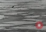 Standbild USS Burton Island am St Lawrence Island Saint Lawrence Island Alaska USA, 1952, aus Sekunde 15 historischem Filmmaterial Videoclip 65675077435