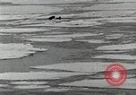 Standbild USS Burton Island am St Lawrence Island Saint Lawrence Island Alaska USA, 1952, aus Sekunde 16 historischem Filmmaterial Videoclip 65675077435