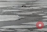 Standbild USS Burton Island am St Lawrence Island Saint Lawrence Island Alaska USA, 1952, aus Sekunde 17 historischem Filmmaterial Videoclip 65675077435