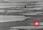 Standbild USS Burton Island am St Lawrence Island Saint Lawrence Island Alaska USA, 1952, aus Sekunde 18 historischem Filmmaterial Videoclip 65675077435