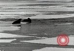Standbild USS Burton Island am St Lawrence Island Saint Lawrence Island Alaska USA, 1952, aus Sekunde 22 historischem Filmmaterial Videoclip 65675077435