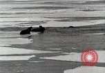 Standbild USS Burton Island am St Lawrence Island Saint Lawrence Island Alaska USA, 1952, aus Sekunde 23 historischem Filmmaterial Videoclip 65675077435