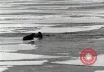 Standbild USS Burton Island am St Lawrence Island Saint Lawrence Island Alaska USA, 1952, aus Sekunde 24 historischem Filmmaterial Videoclip 65675077435