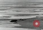 Standbild USS Burton Island am St Lawrence Island Saint Lawrence Island Alaska USA, 1952, aus Sekunde 27 historischem Filmmaterial Videoclip 65675077435