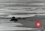 Standbild USS Burton Island am St Lawrence Island Saint Lawrence Island Alaska USA, 1952, aus Sekunde 28 historischem Filmmaterial Videoclip 65675077435