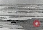Standbild USS Burton Island am St Lawrence Island Saint Lawrence Island Alaska USA, 1952, aus Sekunde 29 historischem Filmmaterial Videoclip 65675077435