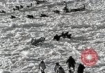 Standbild USS Burton Island am St Lawrence Island Saint Lawrence Island Alaska USA, 1952, aus Sekunde 61 historischem Filmmaterial Videoclip 65675077435