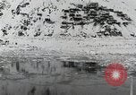 Image of USS Burton Island arriving at King Island King Island Alaska USA, 1952, second 8 stock footage video 65675077437