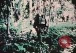 Image of helicopter medical evacuations Vietnam, 1966, second 25 stock footage video 65675077438