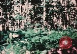 Image of helicopter medical evacuations Vietnam, 1966, second 30 stock footage video 65675077438