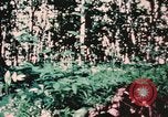 Image of helicopter medical evacuations Vietnam, 1966, second 32 stock footage video 65675077438