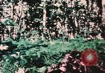 Image of helicopter medical evacuations Vietnam, 1966, second 33 stock footage video 65675077438