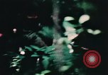 Image of helicopter medical evacuations Vietnam, 1966, second 34 stock footage video 65675077438