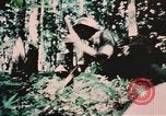 Image of helicopter medical evacuations Vietnam, 1966, second 36 stock footage video 65675077438