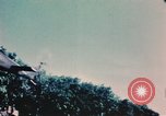 Image of helicopter medical evacuations Vietnam, 1966, second 57 stock footage video 65675077438