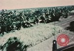 Image of helicopter medical evacuations Vietnam, 1966, second 62 stock footage video 65675077438