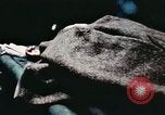 Image of wounded children airlifted via helicopter Vietnam, 1966, second 23 stock footage video 65675077439
