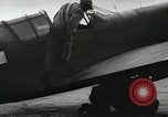 Image Negro pilotes United States USA, 1944, de la seconde 11 séquences d'archives historiques vidéo 65675077453