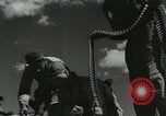 Image Negro pilotes United States USA, 1944, de la seconde 12 séquences d'archives historiques vidéo 65675077453