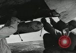 Image Negro pilotes United States USA, 1944, de la seconde 23 séquences d'archives historiques vidéo 65675077453