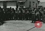 Image Negro pilotes United States USA, 1944, de la seconde 31 séquences d'archives historiques vidéo 65675077453