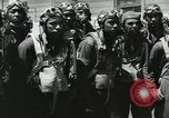 Image Negro pilotes United States USA, 1944, de la seconde 40 séquences d'archives historiques vidéo 65675077453