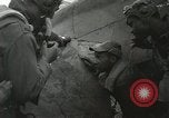 Image Negro pilotes Italie, 1944, de la seconde 21 séquences d'archives historiques vidéo 65675077454