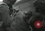 Image Negro pilotes Italie, 1944, de la seconde 23 séquences d'archives historiques vidéo 65675077454