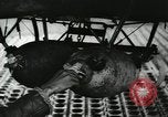 Image Negro pilotes Italie, 1944, de la seconde 27 séquences d'archives historiques vidéo 65675077454