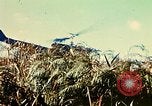 Immagine di 4a Divisione di Fanteria Il Vietnam, 1968, secondo 17 filmato di repertorio 65675077461