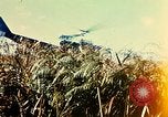 Immagine di 4a Divisione di Fanteria Il Vietnam, 1968, secondo 22 filmato di repertorio 65675077461