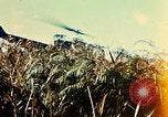 Immagine di 4a Divisione di Fanteria Il Vietnam, 1968, secondo 26 filmato di repertorio 65675077461
