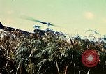 Immagine di 4a Divisione di Fanteria Il Vietnam, 1968, secondo 35 filmato di repertorio 65675077461