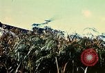Immagine di 4a Divisione di Fanteria Il Vietnam, 1968, secondo 37 filmato di repertorio 65675077461
