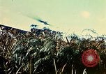 Immagine di 4a Divisione di Fanteria Il Vietnam, 1968, secondo 38 filmato di repertorio 65675077461