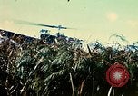 Immagine di 4a Divisione di Fanteria Il Vietnam, 1968, secondo 39 filmato di repertorio 65675077461