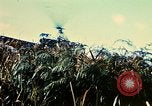 Immagine di 4a Divisione di Fanteria Il Vietnam, 1968, secondo 41 filmato di repertorio 65675077461