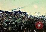 Immagine di 4a Divisione di Fanteria Il Vietnam, 1968, secondo 43 filmato di repertorio 65675077461