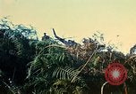 Immagine di 4a Divisione di Fanteria Il Vietnam, 1968, secondo 50 filmato di repertorio 65675077461