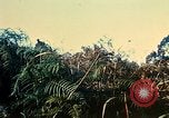 Immagine di 4a Divisione di Fanteria Il Vietnam, 1968, secondo 51 filmato di repertorio 65675077461