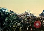 Immagine di 4a Divisione di Fanteria Il Vietnam, 1968, secondo 52 filmato di repertorio 65675077461