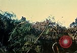 Immagine di 4a Divisione di Fanteria Il Vietnam, 1968, secondo 53 filmato di repertorio 65675077461