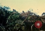 Immagine di 4a Divisione di Fanteria Il Vietnam, 1968, secondo 54 filmato di repertorio 65675077461