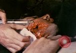 Image of wounded Marine Iwo Jima, 1945, second 1 stock footage video 65675077473