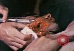 Image of wounded Marine Iwo Jima, 1945, second 5 stock footage video 65675077473