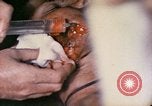 Image of wounded Marine Iwo Jima, 1945, second 9 stock footage video 65675077473