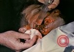 Image of wounded Marine Iwo Jima, 1945, second 16 stock footage video 65675077473
